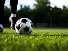 郎平指导女,排再创佳绩,世界杯三连,神殿娱乐,神殿娱乐官网,神殿娱乐平台,神殿娱乐集团,神殿娱乐集团